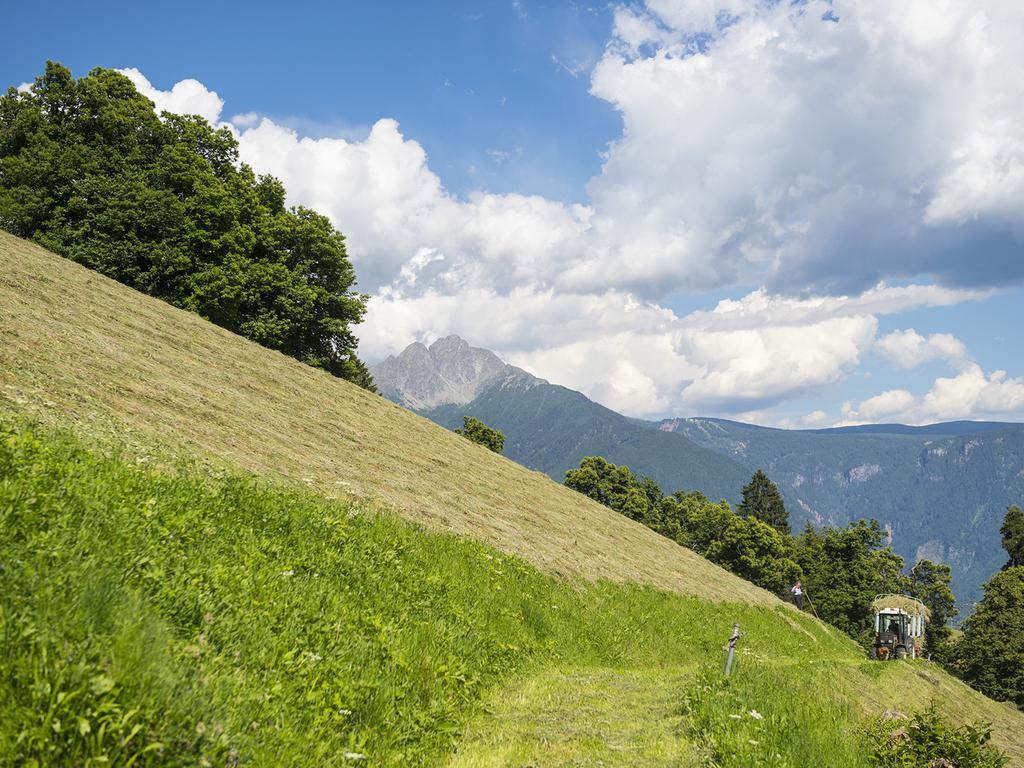 Gasthaus Gasteiger Лагундо Экстерьер фото